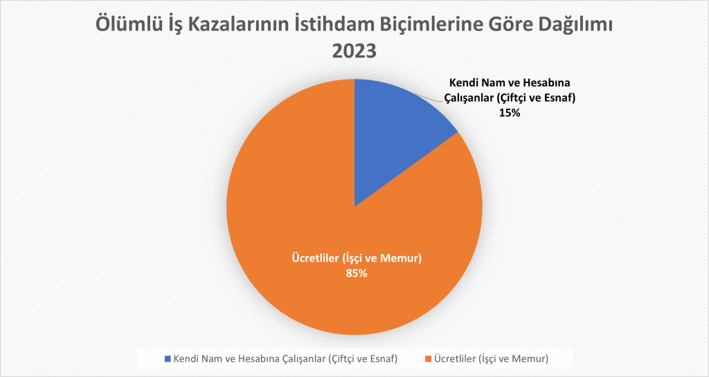 ölümlü iş kazaları istihdam biçimine göre
